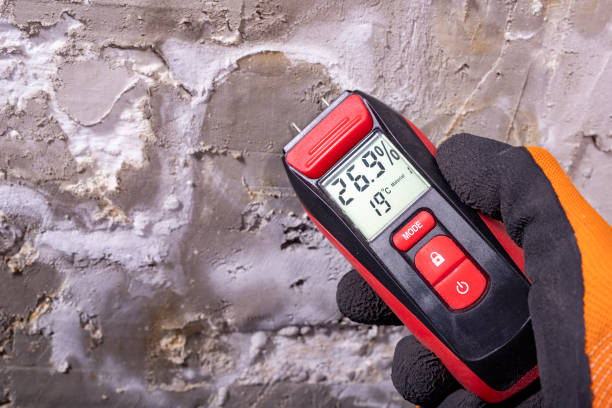 Best Residential Mold Remediation in West Baraboo, WI