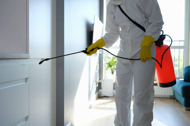Best Crawl Space Mold Remediation in West Baraboo, WI