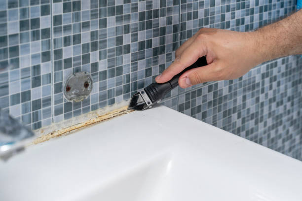 Best DIY Mold Remediation Support Services in West Baraboo, WI