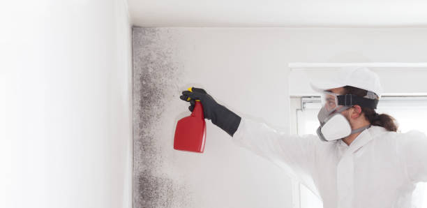 West Baraboo, WI Mold Remediation Company